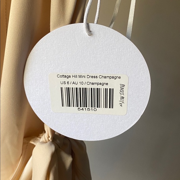 Princess Polly Champagne Mini Dress - Picture 2 of 5
